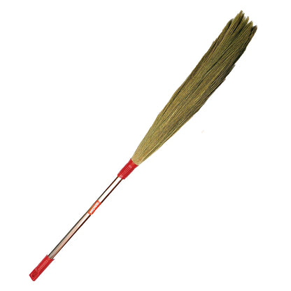 Aladdin (Orissa) Broom