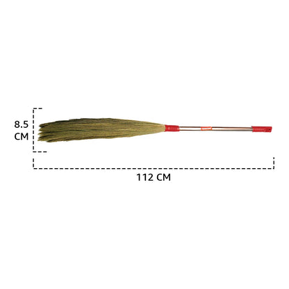 Aladdin (Orissa) Broom