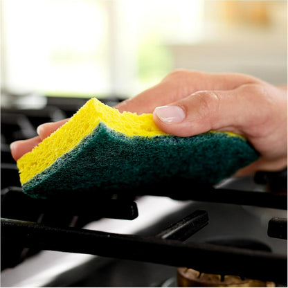 Sponge with Green Pad Pack of 5